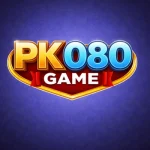 PK080 Game Official Logo – Simple and Modern Design