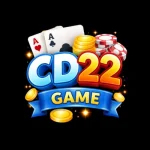 CD22 Game Logo image